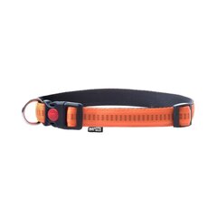 Ошейник Soft Style Happet оранжевый XL 2,5 см цена и информация | Ошейники, подтяжки для собак | pigu.lt