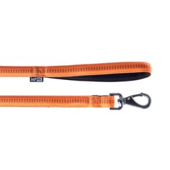 Поводок+мягкий стиль Happet оранжевый S 1 см цена и информация | Ошейники, подтяжки для собак | pigu.lt