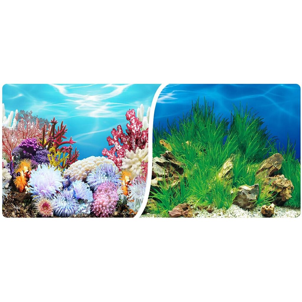Akvariumo fonas 8006 ritinėlis 40cm Happet kaina ir informacija | Akvariumo augalai, dekoracijos | pigu.lt