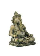 R169 Орнамент Будды из терра ХИНДУ цена и информация | Товары для экзотических животных | pigu.lt