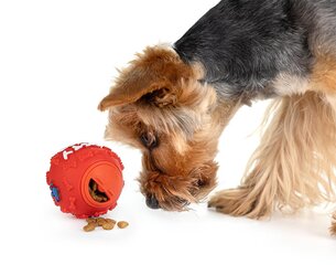 Žaislas šunims Happet Z822, 7,5 cm kaina ir informacija | Žaislai šunims | pigu.lt