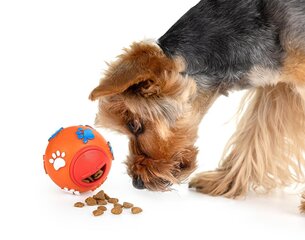 Žaislas šunims Happet Z830, 7,5 cm kaina ir informacija | Žaislai šunims | pigu.lt