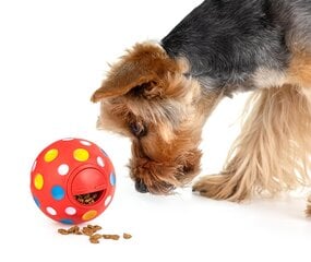 Žaislas šunims Happet Z832, 11,5 cm kaina ir informacija | Žaislai šunims | pigu.lt