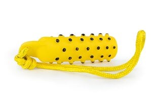 Žaislas šunims Happet Z851, geltonas, 40 cm kaina ir informacija | Žaislai šunims | pigu.lt