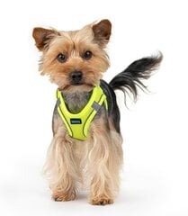 Harness air comfort XS neon lime цена и информация | Ошейники, подтяжки для собак | pigu.lt