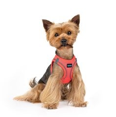 Harness air comfort XS розовый неон цена и информация | Ошейники, подтяжки для собак | pigu.lt