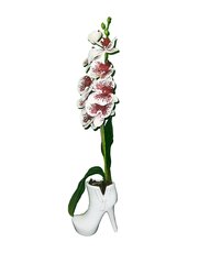 Dirbtinė orchidėja Pelenė, 75cm kaina ir informacija | Dirbtinės gėlės | pigu.lt
