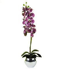 Dirbtinė orchidėja Milana 75cm kaina ir informacija | Dirbtinės gėlės | pigu.lt