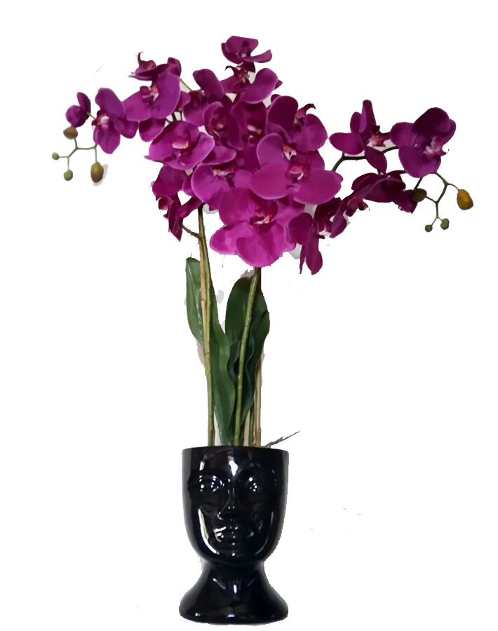 Dirbtinė orchidėja Izabela 85cm kaina ir informacija | Dirbtinės gėlės | pigu.lt