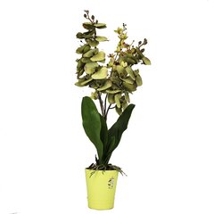 Искусственная орхидея Аделина 70см цена и информация | Искусственные цветы | pigu.lt