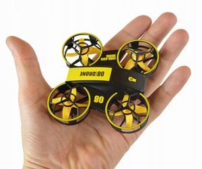 Mini dronas su uždaru propeleriu RC RH821 kaina ir informacija | Žaislai berniukams | pigu.lt