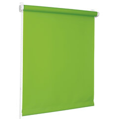Midi roletas Bojanek, žalias, 42,5x150 cm kaina ir informacija | Roletai | pigu.lt