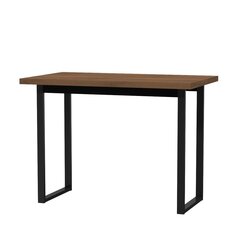 Письменный стол Лофт-6, коричневый цена и информация | Компьютерные, письменные столы | pigu.lt