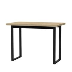 Письменный стол Лофт-7, коричневый цена и информация | Компьютерные, письменные столы | pigu.lt