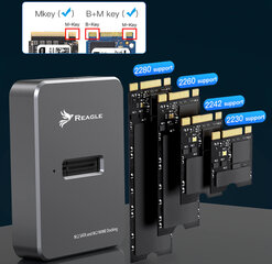 Reagle RY6M2 цена и информация | Адаптеры, USB-разветвители | pigu.lt