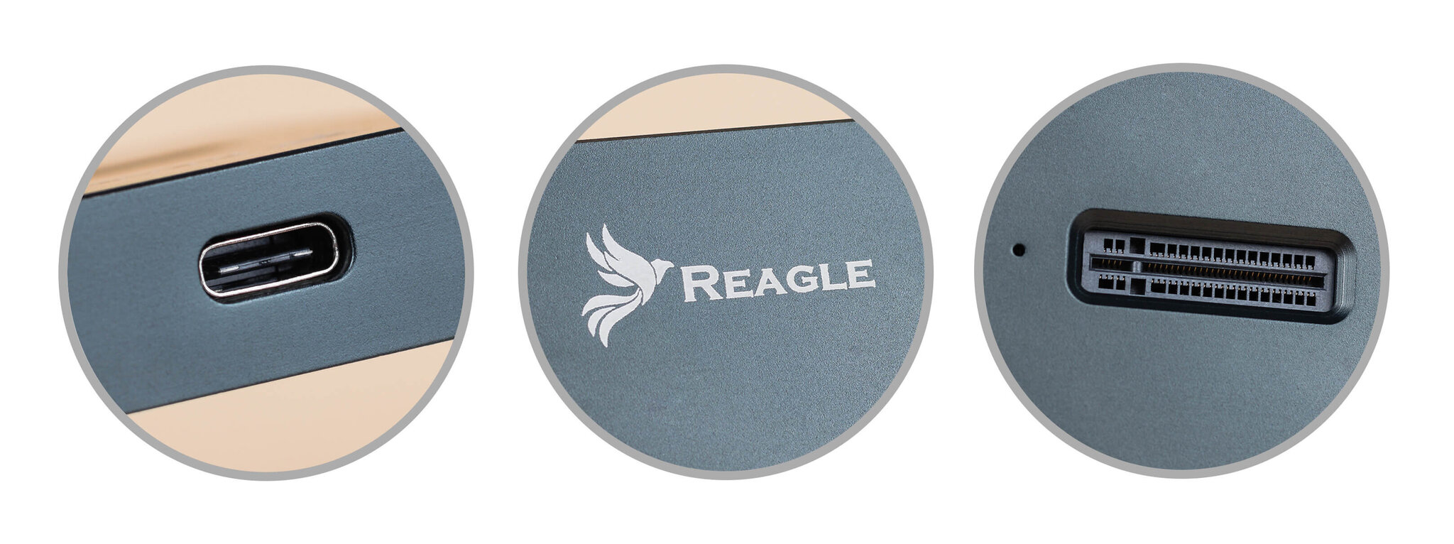 Reagle RY6M2 kaina ir informacija | Adapteriai, USB šakotuvai | pigu.lt