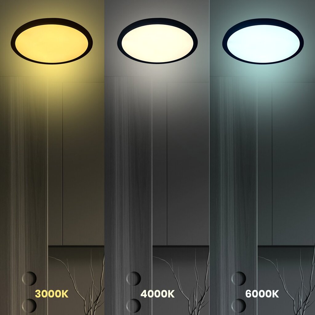 Milagro lubinis šviestuvas Maq ML0440 kaina ir informacija | Lubiniai šviestuvai | pigu.lt