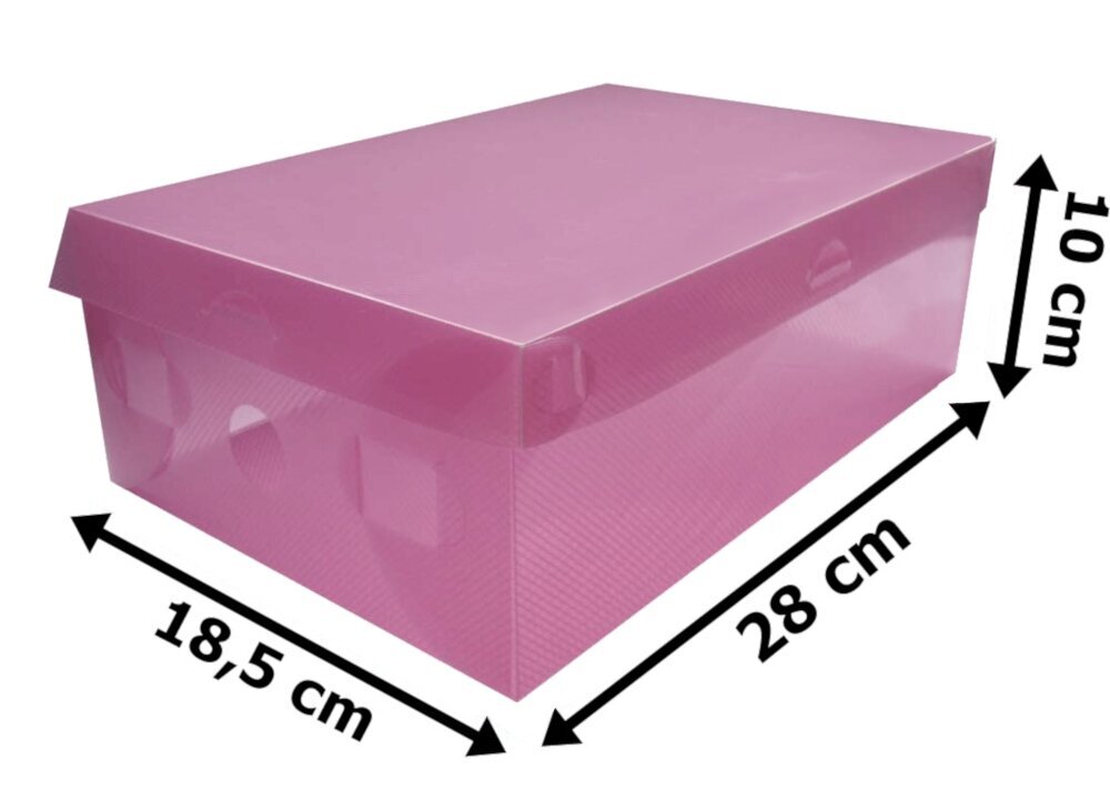 Batų dėžė su dangčiu, 18x28x10 cm kaina ir informacija | Daiktadėžės | pigu.lt