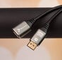 Reagle DisplayPort plėstuvas 1.4 DP 8K 4K@144Hz 50 CM цена и информация | Korpusų priedai | pigu.lt