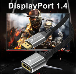 Reagle DisplayPort plėstuvas 1.4 DP 8K 4K@144Hz 50 CM цена и информация | Аксессуары для корпусов | pigu.lt