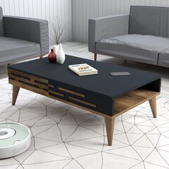 Кофейный столик Asir, 105x60x34,6 см, коричневый/серый цена и информация | Журнальные столики | pigu.lt