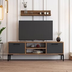 TV staliukas Asir, 140x48x30 cm, rudas/pilkas kaina ir informacija | TV staliukai | pigu.lt