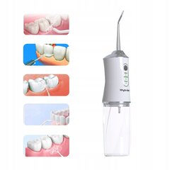 Whysmile HF-10 kaina ir informacija | Whysmile Buitinė technika ir elektronika | pigu.lt