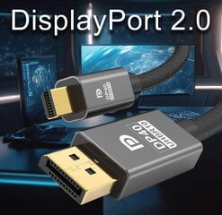 Reagle mini DisplayPort Ultra DP 2.0 8K 4K 240Hz 1M kabelis kaina ir informacija | Korpusų priedai | pigu.lt