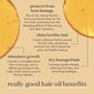 Plaukų aliejus Fushi Really Good Hair Oil, 100 ml kaina ir informacija | Priemonės plaukų stiprinimui | pigu.lt