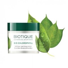 Gelis į aknę linkusiai veido odai Biotique Bio Chlorophyll Anti-Acne Gel, 50 g kaina ir informacija | Veido kremai | pigu.lt