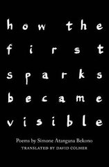 how the first sparks became visible kaina ir informacija | Poezija | pigu.lt