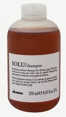 Davines SOLU Shampoo шампунь глубокого очищения 250мл цена и информация | Шампуни | pigu.lt