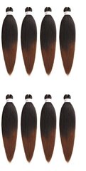 Plaukų perukas Xtrend Sylhair, juodas kaina ir informacija | Plaukų aksesuarai | pigu.lt