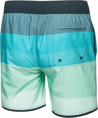 Быстросохнущие мужские плавки-шорты Aquaspeed Nolan цена и информация | Шорты для плавания, обтягивающие | pigu.lt