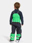 Didriksons vaikiškos izoliuotos pavasario-rudens kelnės CLOUD, žalia-juoda kaina ir informacija | Kelnės berniukams | pigu.lt