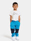Didriksons vaikiškos pavasario-rudens softshell kelnės BLÅBÄR, mėlynos kaina ir informacija | Kelnės berniukams | pigu.lt