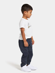 Didriksons весенне-осенние детские штаны softshell BLÅBÄR, темно-синего цвета цена и информация | Спортивные штаны для мальчиков | pigu.lt