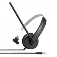 LENOVO STEREO ANALOG HEADSET цена и информация | Наушники | pigu.lt