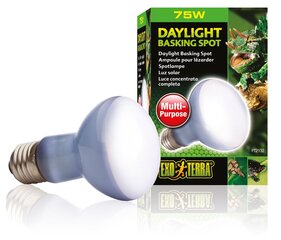 Terariumo lempa Daylight Basking Spot R20 75w PT2132 kaina ir informacija | Prekės egzotiniams gyvūnams | pigu.lt