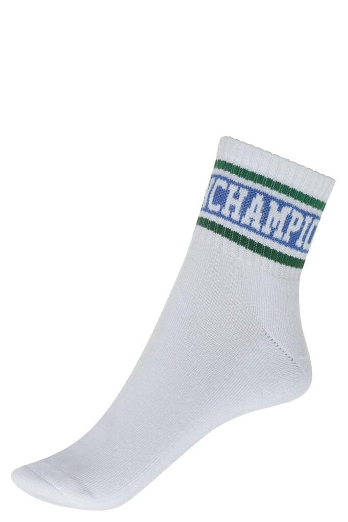 Champion sportinės kojinės vyrams, baltos kaina ir informacija | Vyriškos kojinės | pigu.lt