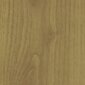 Sulankstomos durys - 001P Pale Oak Mat G , 80 cm цена и информация | Vidaus durys | pigu.lt