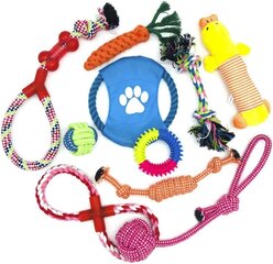 Набор игрушек для собак - Sergio, 10 шт. цена и информация | Игрушки для собак | pigu.lt