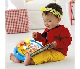 Muzikinė knygelė Fisher Price, DKK19, LT kaina ir informacija | Žaislai kūdikiams | pigu.lt