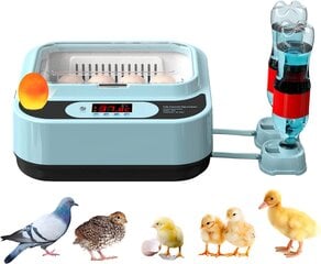 Kiaušinių inkubatorius su automatiniu temperatūros ir drėgmės reguliavimu Ouyolad, 12 kiaušinių kaina ir informacija | Prekės ūkiniams gyvūnams | pigu.lt