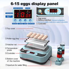 Инкубатор для яиц Ouyolad с автоматическим контролем температуры и влажности, 12яиц цена и информация | Товары для сельскохозяйственных животных | pigu.lt