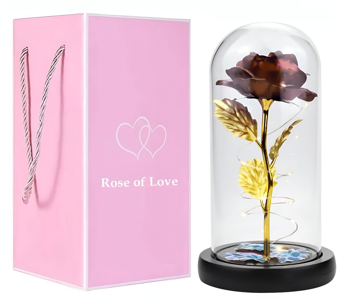 Amžina rožė stikliniame kupole, raudona, 1 vnt. kaina ir informacija | Kitos originalios dovanos | pigu.lt