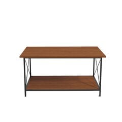 Кофейный столик, Асир, 110х50х50 см, коричневый/черный цена и информация | Журнальные столики | pigu.lt