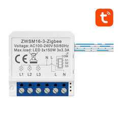 Модуль интеллектуального коммутатора ZigBee ZWSM16-W3 TUYA Avatto цена и информация | Выключатели, розетки | pigu.lt