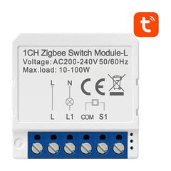 Модуль интеллектуального переключателя ZigBee LZWSM16-W1 без нейтрали TUYA Avatto цена и информация | Выключатели, розетки | pigu.lt