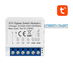 Модуль интеллектуального переключателя ZigBee LZWSM16-W3 без нейтрали TUYA Avatto цена и информация | Выключатели, розетки | pigu.lt